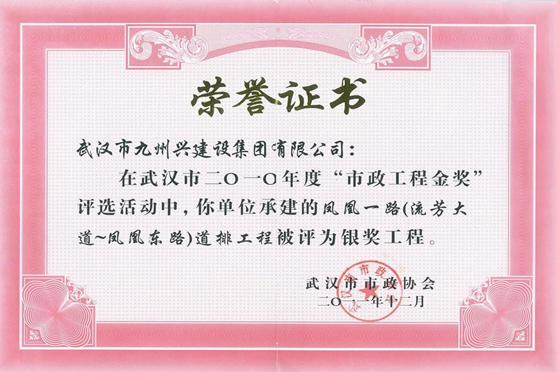 凤凰一路道排工程“银奖工程”