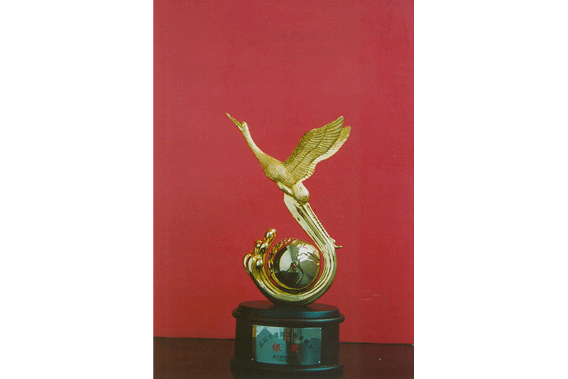 常青花园12号小区13#号楼工程获黄鹤杯银奖