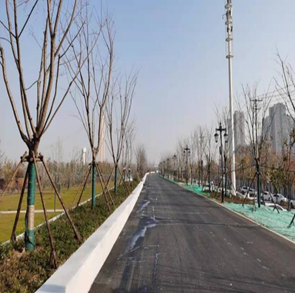 武汉汉阳江滩防水墙和道路工程