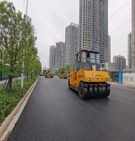 武汉光谷东湖高新开发区凤凰一路道路工程