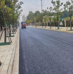 武汉市后湖大道延长线道路工程