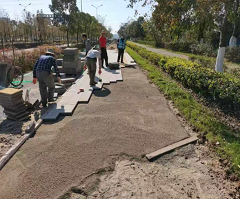 武汉市后湖大道延长线道路工程