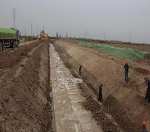 新洲农业综合开发倒东中型灌区节水配套项目