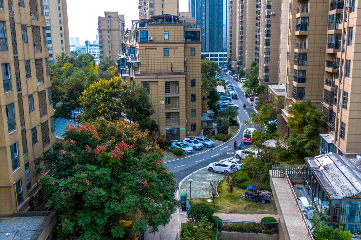 圣特立￭国际花园